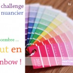 libelul-banner-challenge-nuancier-201112