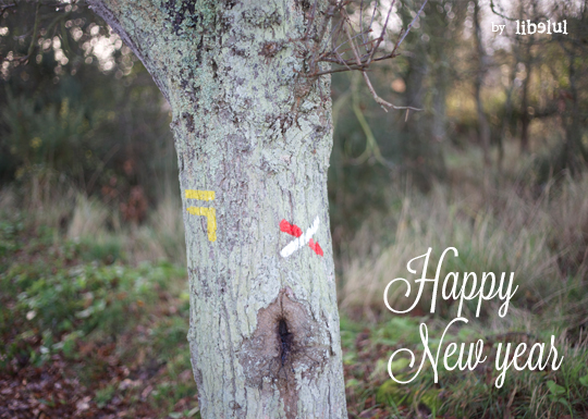 happy-new-year-by-libelul